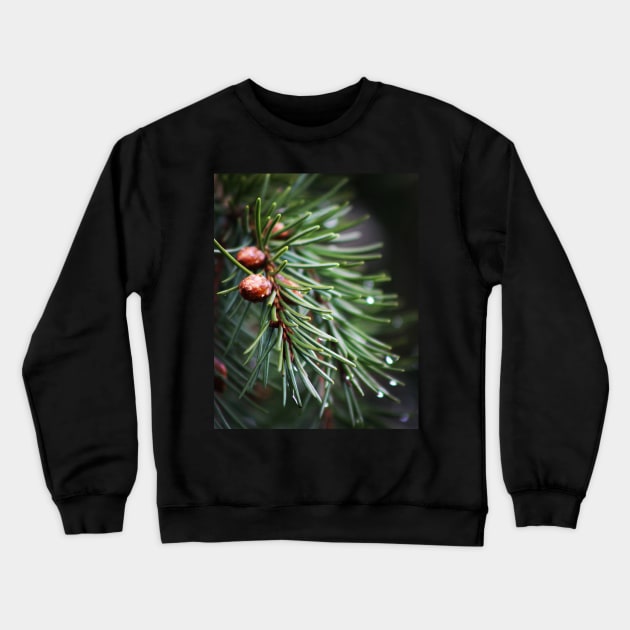 Fir tree Crewneck Sweatshirt by Jonesyinc